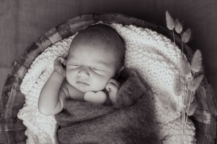 Pasgeboren baby in mandje, zwart-wit foto. Newbornshoot, baby fotoshoot Beuningen.