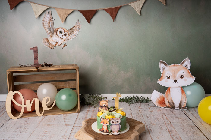 Cakesmash fotoshoot setting met bosdieren en vlaggetjes, 1 jaar