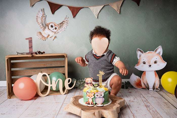 Cakesmash fotoshoot van een jongetje met bosdieren en vlaggetjes