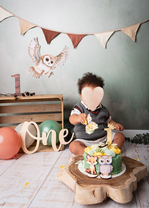 Cakesmash fotoshoot van een jongetje met uil en vlaggetjes