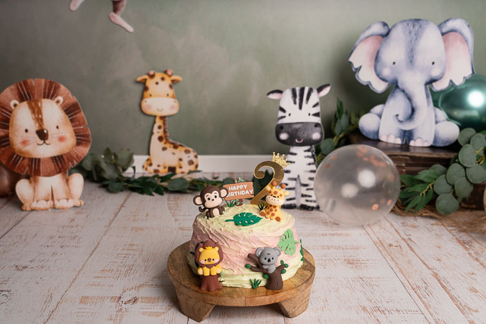 Cakesmash fotoshoot setting met safari dieren en ballonnen, focus op taart